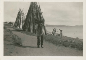 Image of woodpiles and boy holding dog